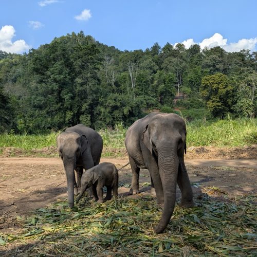 Thailandia