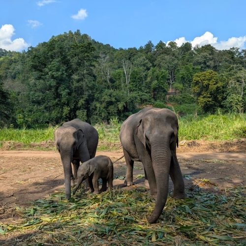 Thailandia